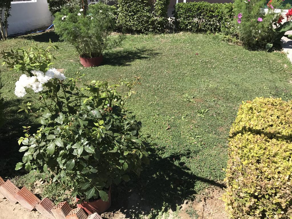 Vicky'S Guesthouse Kávos Zewnętrze zdjęcie